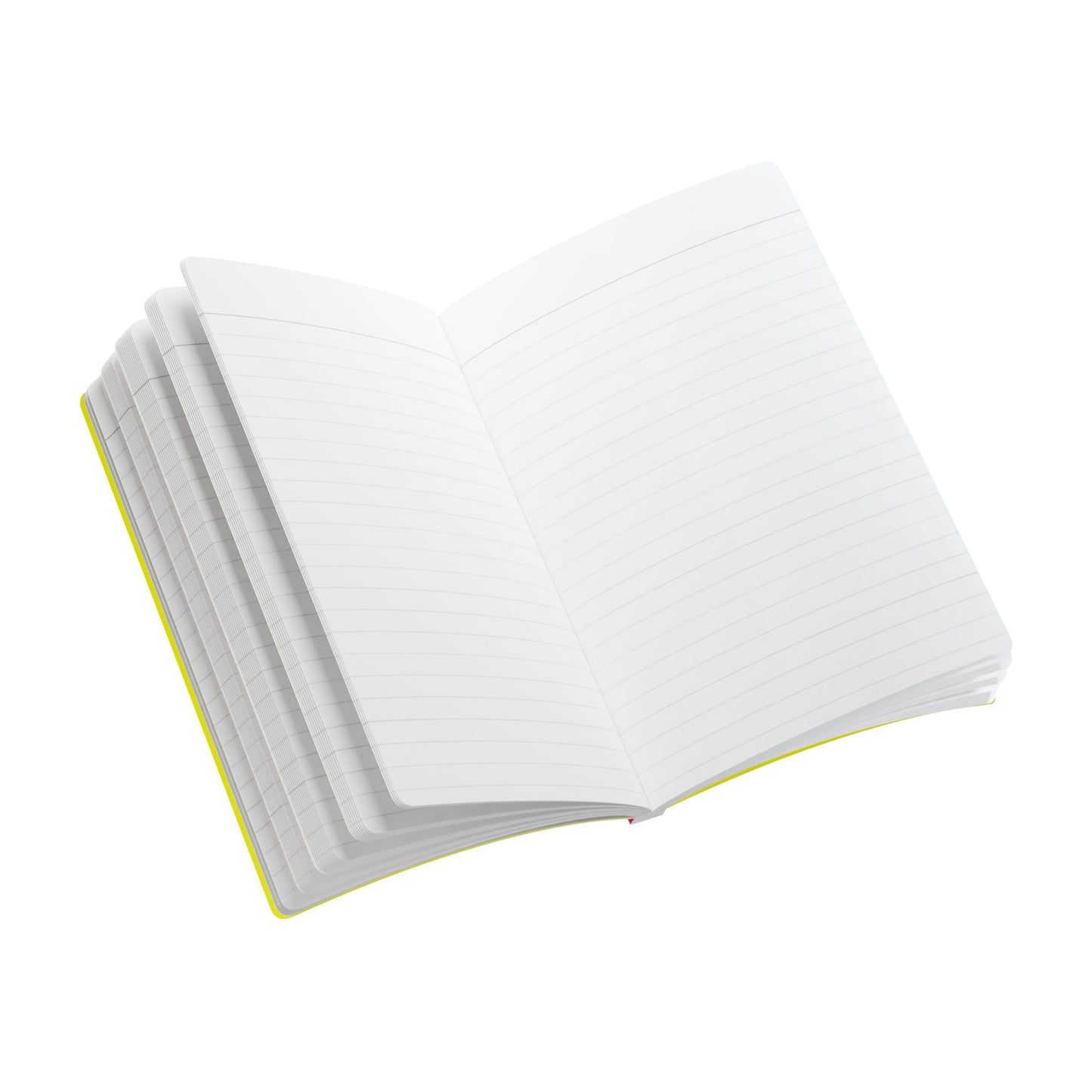 Dog Doodle - Softcover Journal - Jack